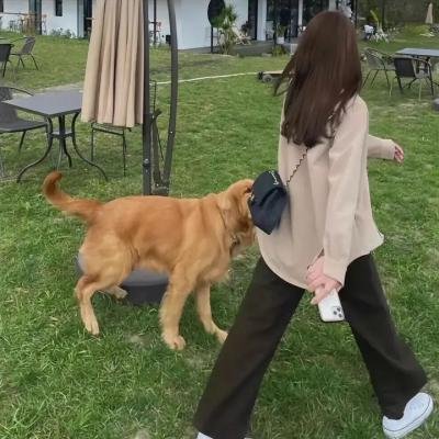 少年说第四季